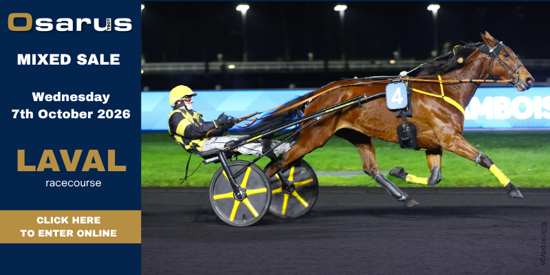 dispo_trot_lav26_us.png