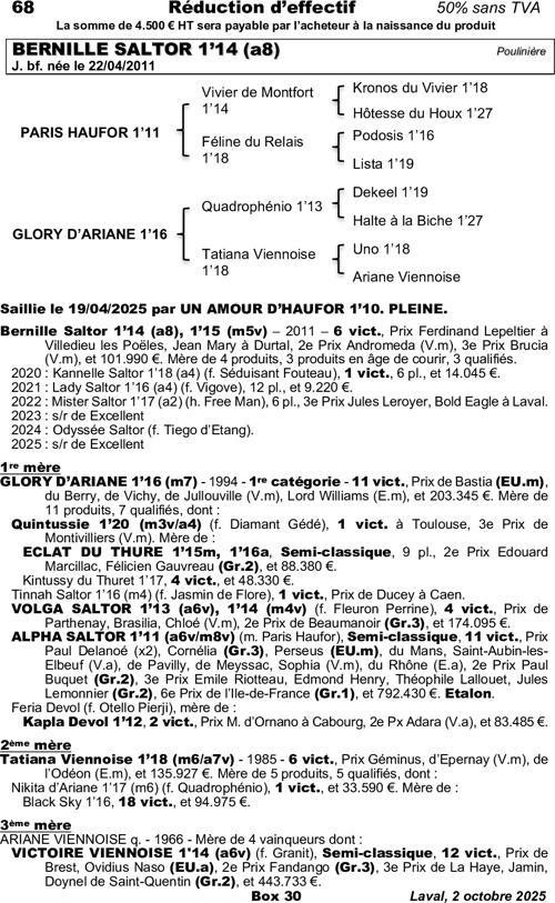 Miniature pedigree