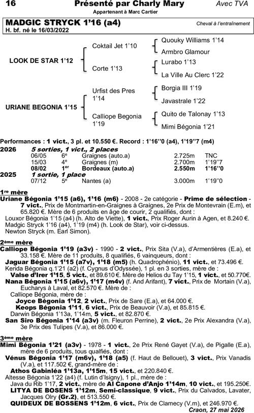 Miniature pedigree